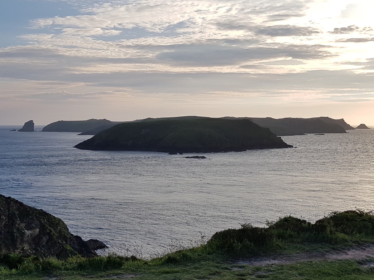 The Deer Park, Marloes,&nbsp;2003